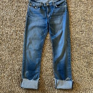 Hudson Jeans Women's Straight Leg in Deep Blue Cropped